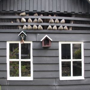 2019-11/b5ac71c0-5203-4f62-89e0-2872f56397d6