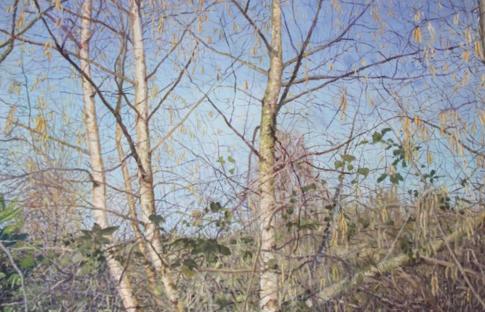 Opening tentoonstelling Harry Navarro